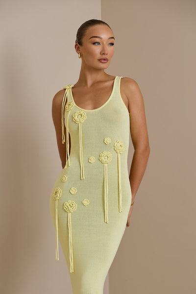 LILLY MAXI DRESS | CITROEN