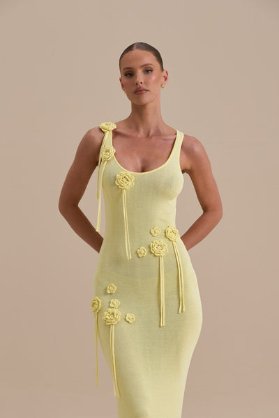 LILLY MAXI DRESS | CITROEN