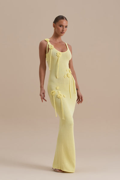 LILLY MAXI DRESS | CITROEN