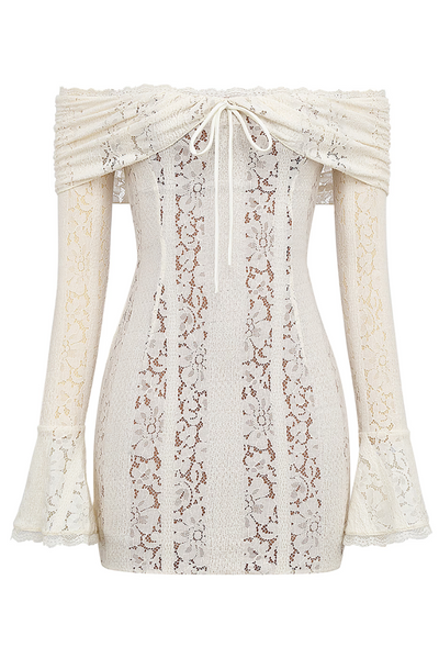 Anaya | Lace Mini Dress
